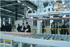 2014大自然木門經(jīng)銷商大會暨泰州新廠盛典 互聯(lián)網(wǎng)銷售戰(zhàn)略啟新篇